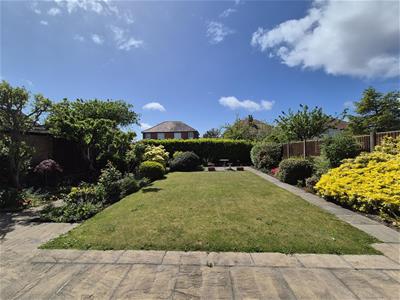 Picture 20